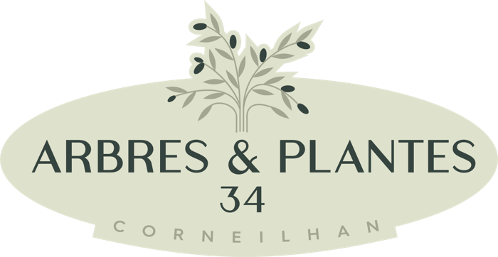 Logo Arbres & Plantes 34, pépinière à Corneilhan
